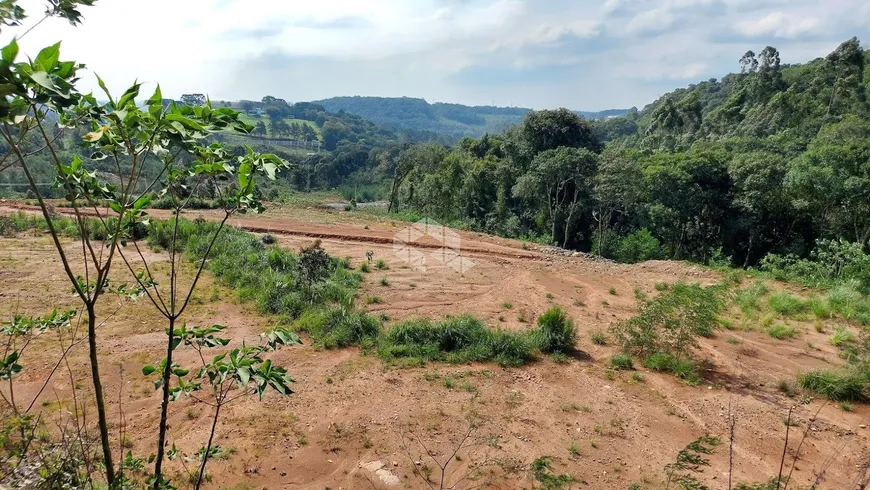 Foto 1 de Lote/Terreno à venda, 8879m² em , Garibaldi