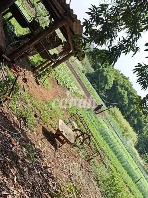 Foto 1 de Fazenda/Sítio com 3 Quartos à venda, 4000m² em Recanto das Palmeiras, Ribeirão Preto