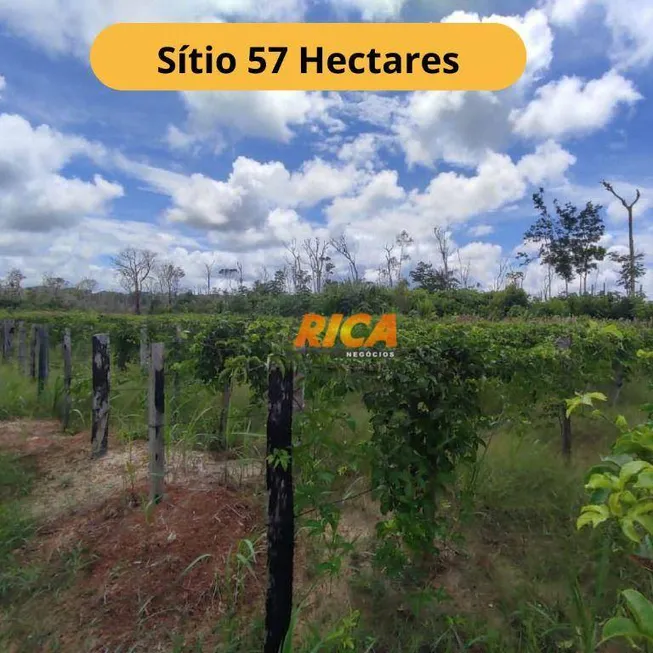 Foto 1 de Fazenda/Sítio à venda, 570000m² em , Humaitá