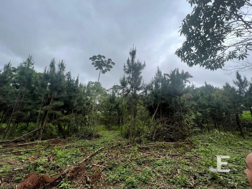 Foto 1 de Lote/Terreno à venda, 26000m² em Parque Recanto Mônica, Itaquaquecetuba