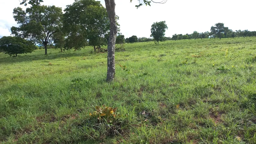 Foto 1 de Fazenda/Sítio à venda em Caicara, Faina