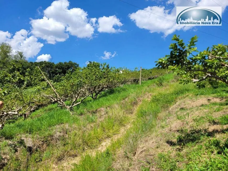 Foto 1 de Fazenda/Sítio com 1 Quarto à venda, 60m² em Macuco, Valinhos