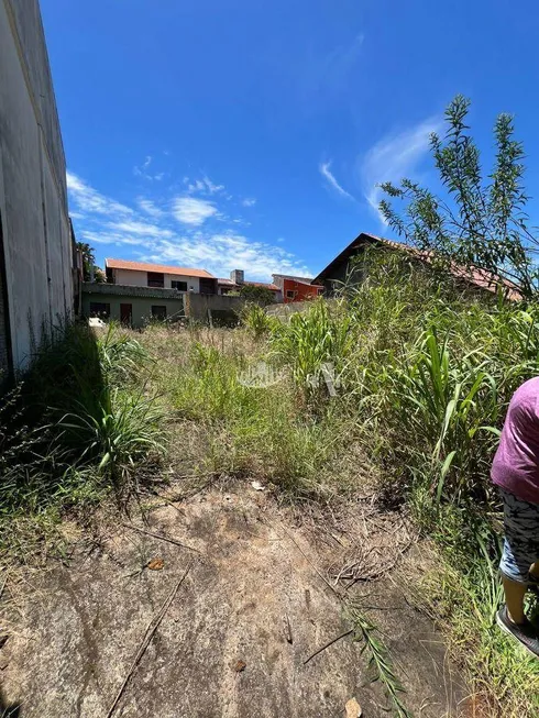 Foto 1 de Lote/Terreno para alugar, 350m² em Bancarios, Londrina