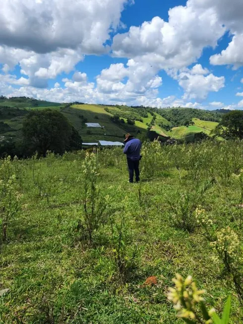 Foto 1 de Lote/Terreno com 1 Quarto à venda, 1200m² em Centro, Camanducaia