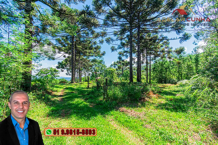 Foto 1 de Fazenda/Sítio com 2 Quartos à venda, 50000m² em Zona Rural, Gramado