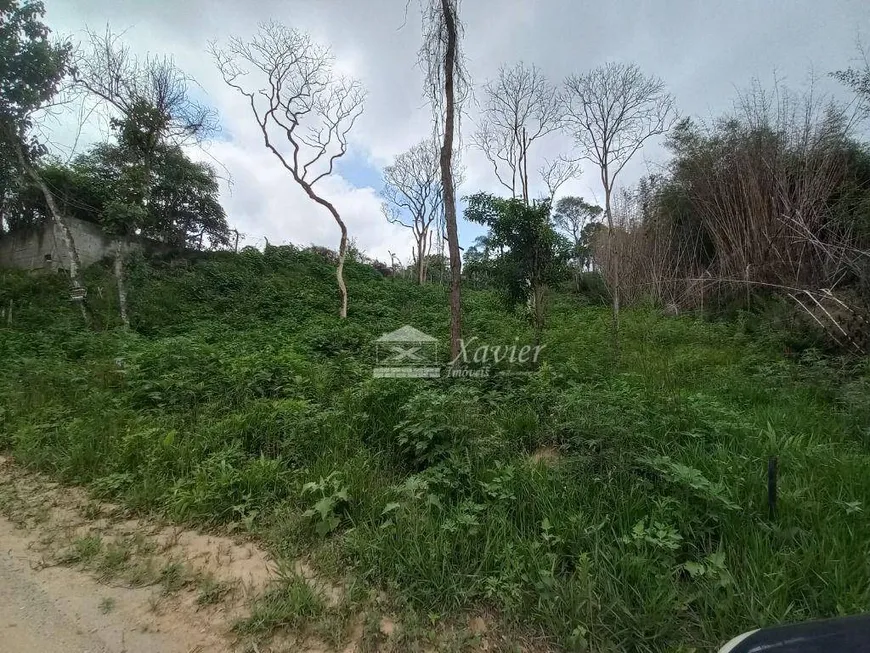 Foto 1 de Lote/Terreno à venda, 2744m² em Chácara Remanso, Cotia