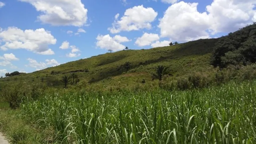 Foto 1 de Fazenda/Sítio à venda, 230000m² em , Ribeirão