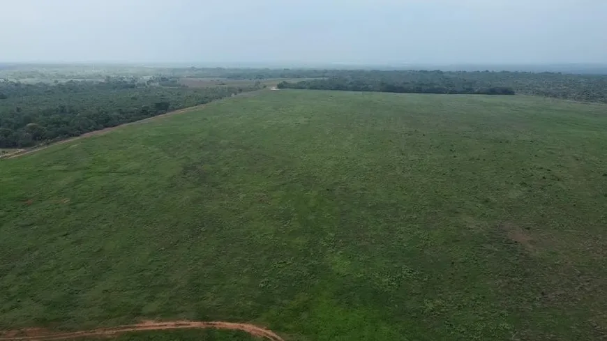 Foto 1 de Fazenda/Sítio com 7 Quartos à venda, 530m² em Setor Oeste, Araguaína