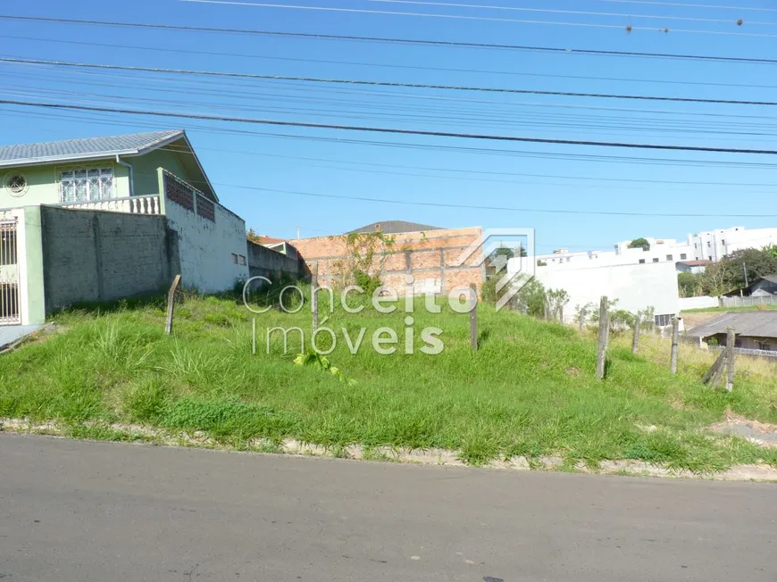 Foto 1 de Lote/Terreno à venda, 462m² em Órfãs, Ponta Grossa