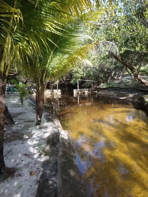 Foto 1 de Fazenda/Sítio à venda, 110000m² em Barra de Maxaranguape, Maxaranguape