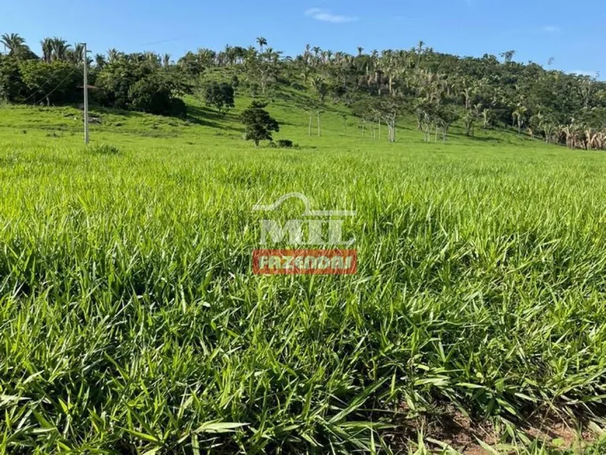 Foto 1 de Fazenda/Sítio à venda em Zona Rural, Novo Progresso