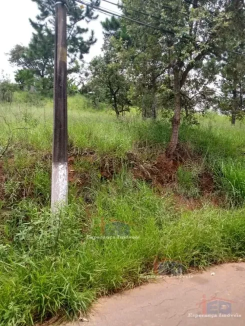 Foto 1 de Lote/Terreno à venda, 1000m² em Terras de San Nicolau, Santana de Parnaíba