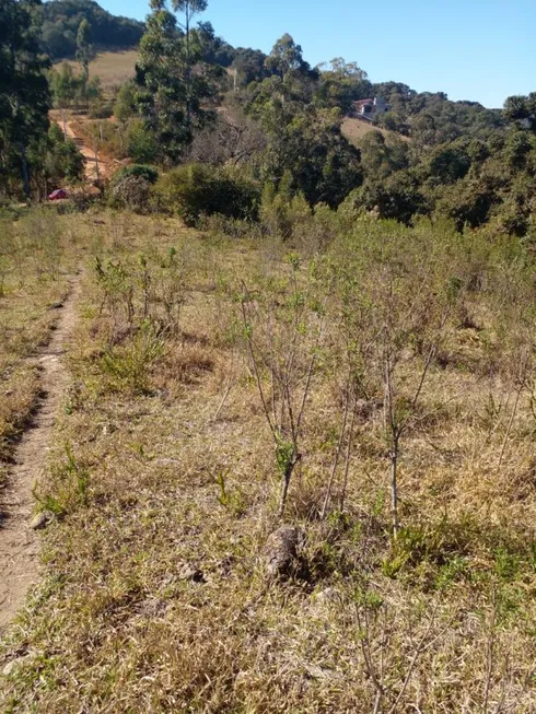 Foto 1 de Lote/Terreno à venda, 24000m² em , Toledo