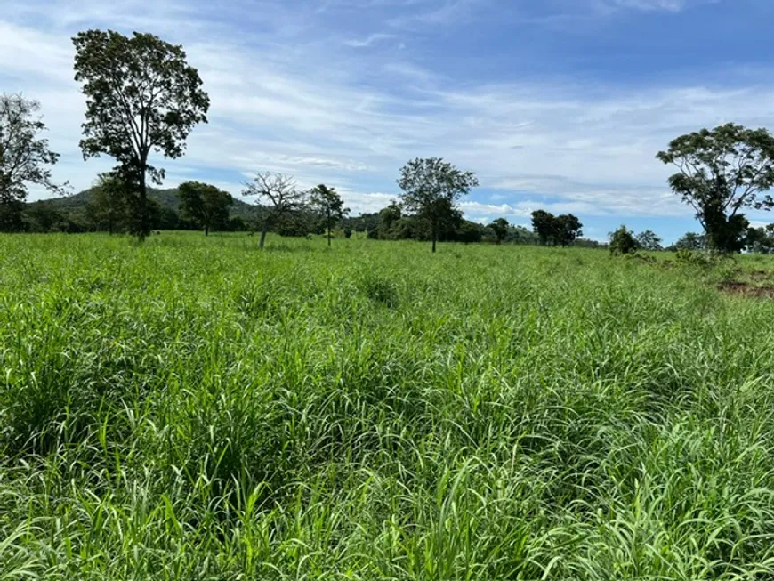 Foto 1 de Fazenda/Sítio à venda, 484000m² em Zona Rural, Itapirapuã