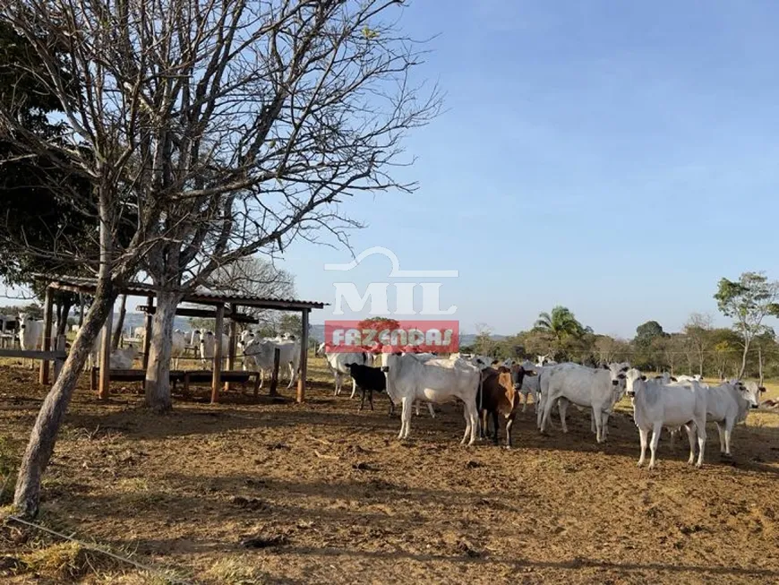 Foto 1 de Fazenda/Sítio à venda em Setor Central, Araçu