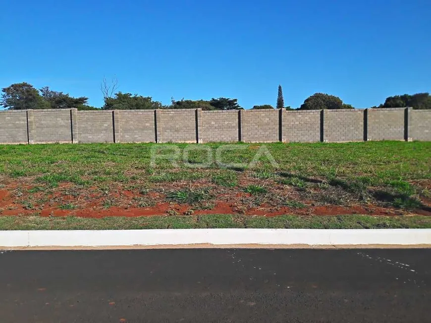 Foto 1 de Lote/Terreno à venda, 250m² em Residencial Samambaia, São Carlos