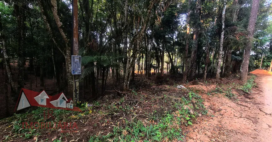 Foto 1 de Fazenda/Sítio com 1 Quarto à venda, 5000m² em Campestre da Faxina, São José dos Pinhais