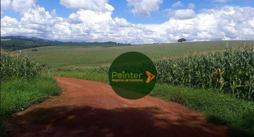 Foto 1 de Fazenda/Sítio à venda, 1937000m² em Centro, Campanha