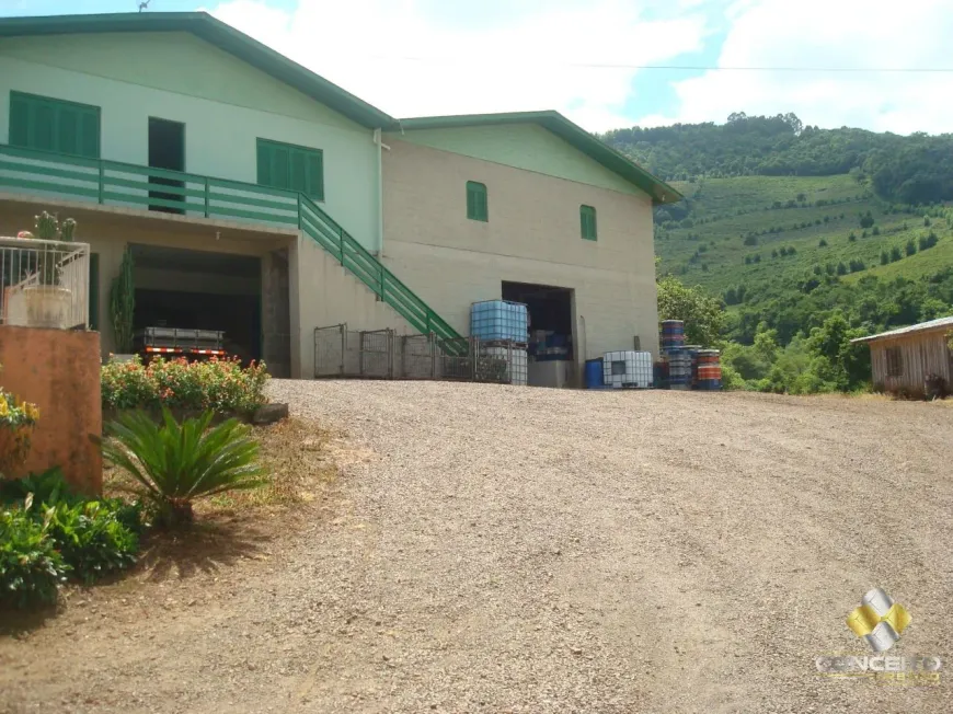 Foto 1 de Fazenda/Sítio com 4 Quartos à venda, 150m² em Faria Lemos, Bento Gonçalves