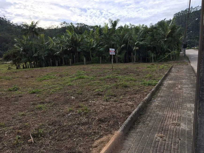 Foto 1 de Lote/Terreno à venda, 2719m² em Planicie Alta, Guabiruba