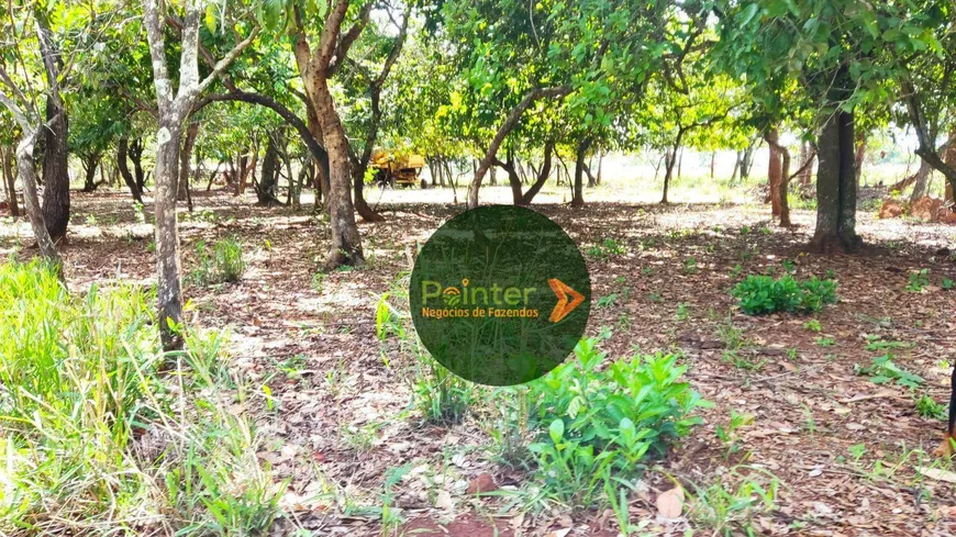 Foto 1 de Fazenda/Sítio com 3 Quartos à venda, 145200m² em Zona Rural, Guapó