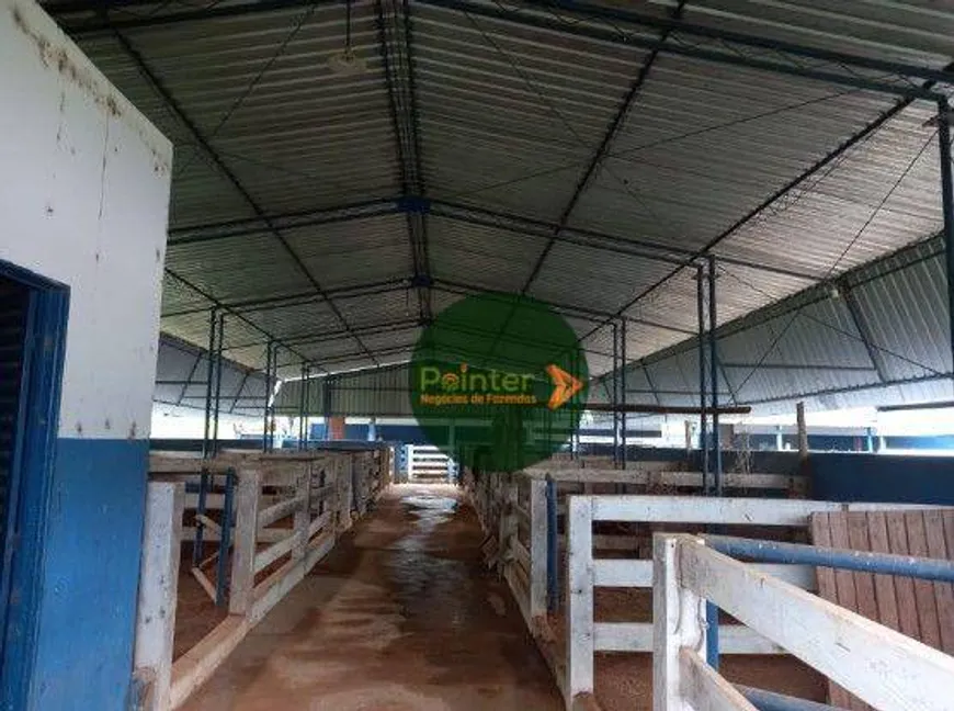 Foto 1 de Fazenda/Sítio à venda, 7114800m² em Zona Rural, Buritis