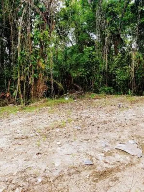 Foto 1 de Lote/Terreno à venda, 150m² em Suarão, Itanhaém