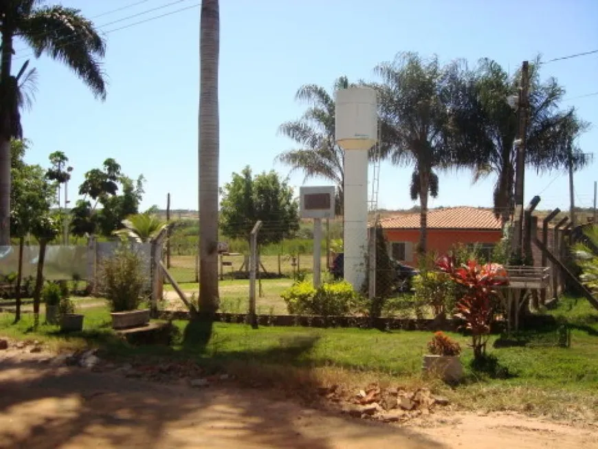 Foto 1 de Fazenda/Sítio com 4 Quartos à venda, 5972m² em Centro Engenheiro Schmitt, São José do Rio Preto