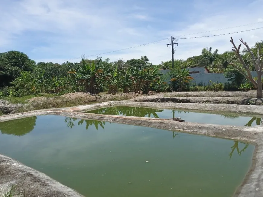 Foto 1 de Fazenda/Sítio com 3 Quartos à venda, 200m² em Citrolandia, Magé