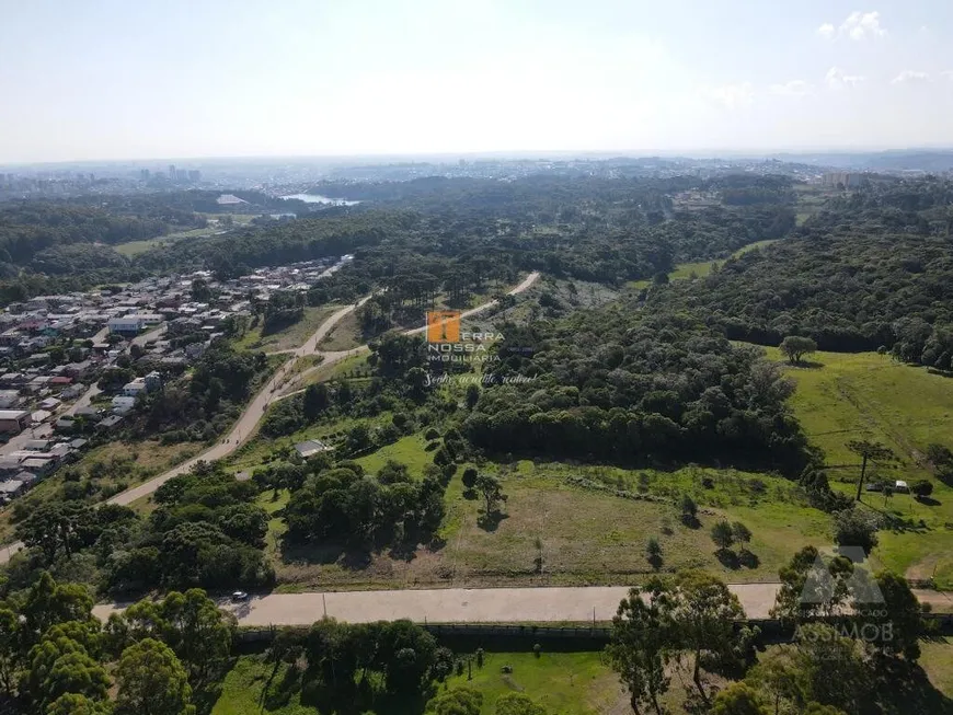 Foto 1 de Lote/Terreno à venda, 1165m² em São Ciro, Caxias do Sul