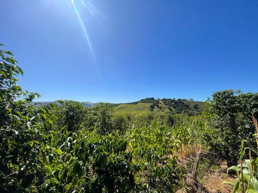 Foto 1 de Lote/Terreno com 1 Quarto à venda, 4000m² em Centro, Bueno Brandão