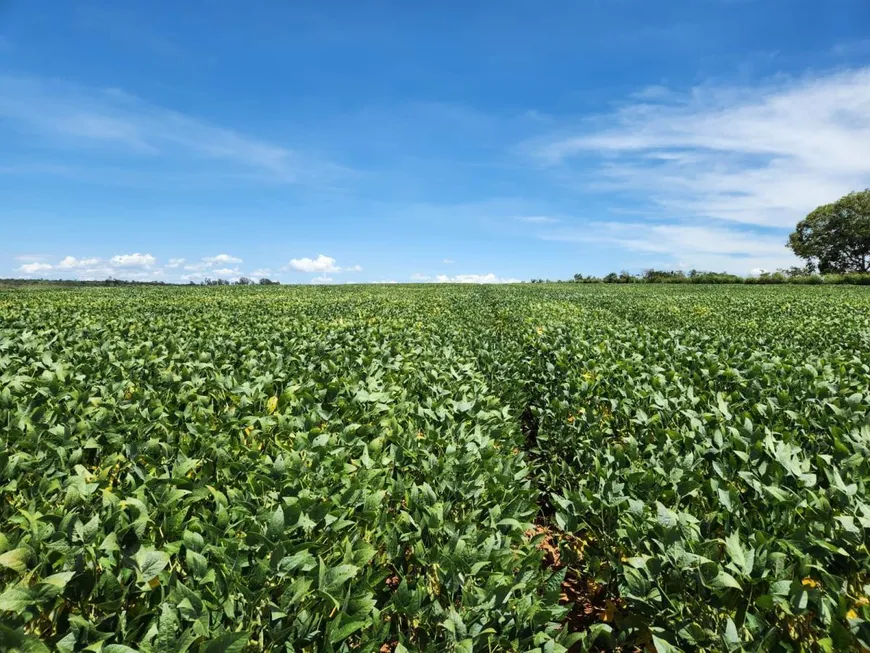 Foto 1 de Fazenda/Sítio à venda, 1738m² em Centro, Cristalina