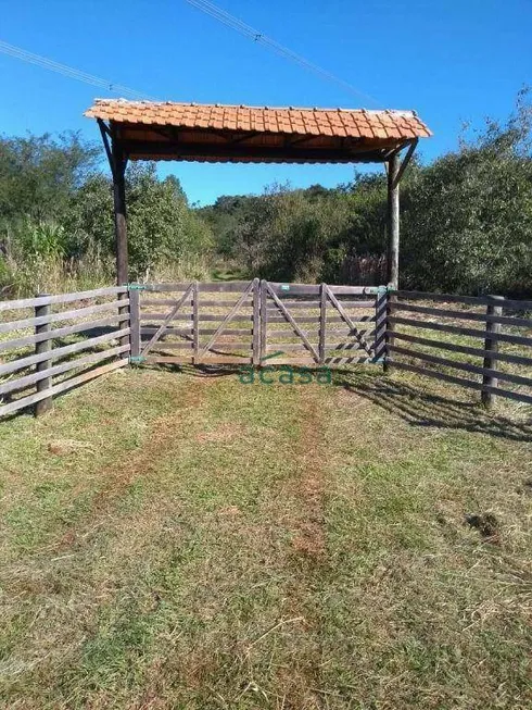 Foto 1 de Fazenda/Sítio com 2 Quartos à venda, 50m² em Zona Rural, Santa Tereza do Oeste