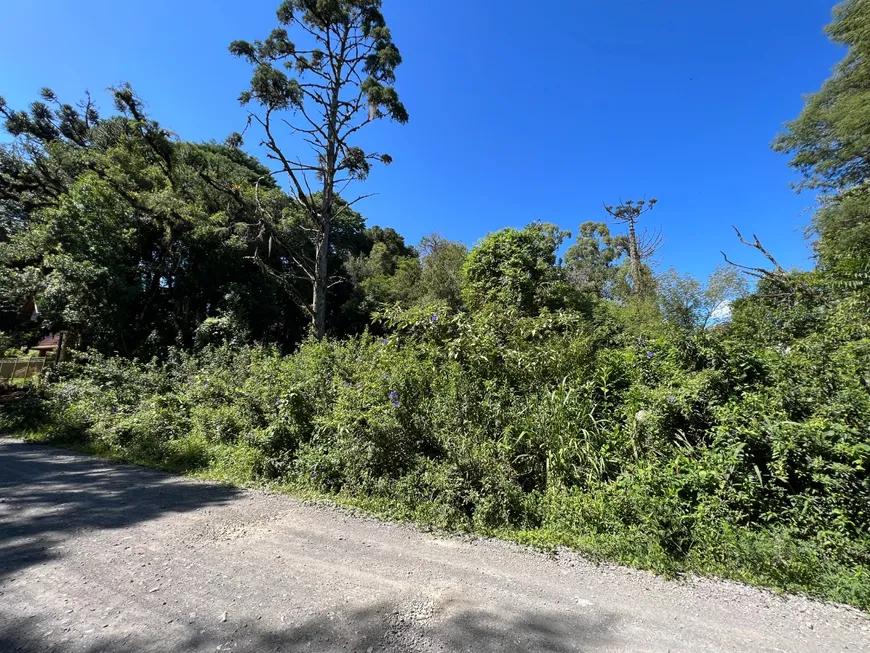 Foto 1 de Lote/Terreno à venda, 1914m² em Vila Suzana, Canela