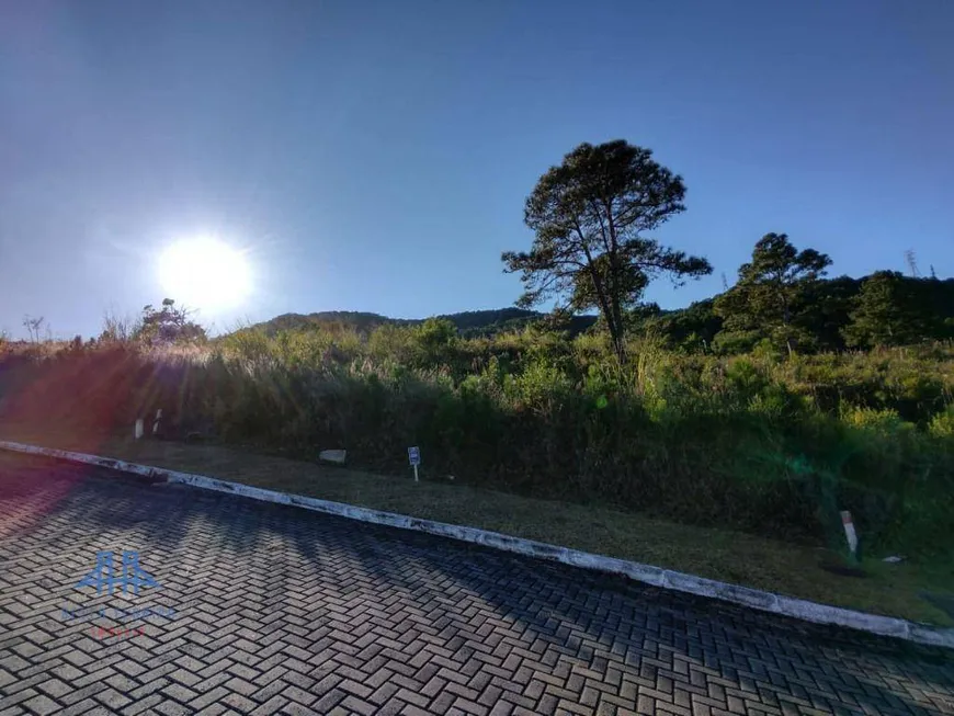 Foto 1 de Lote/Terreno à venda, 450m² em Itacorubi, Florianópolis