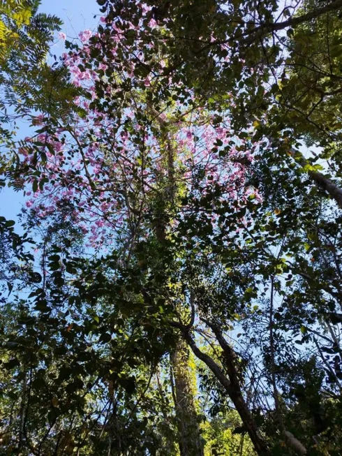 Foto 1 de Lote/Terreno à venda, 50m² em Zona Rural, Teresina de Goiás