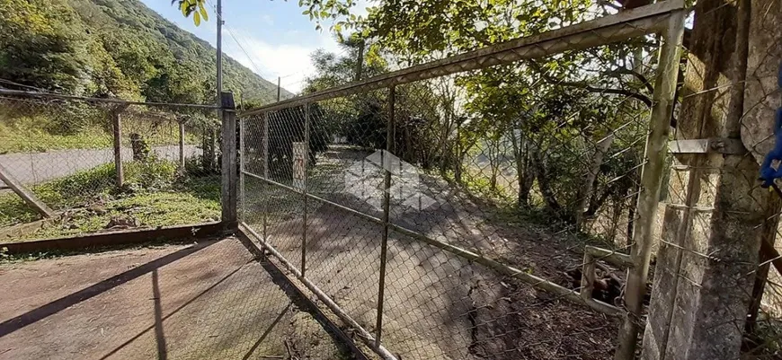 Foto 1 de Fazenda/Sítio com 3 Quartos à venda, 80m² em Linha Alcantara, Bento Gonçalves