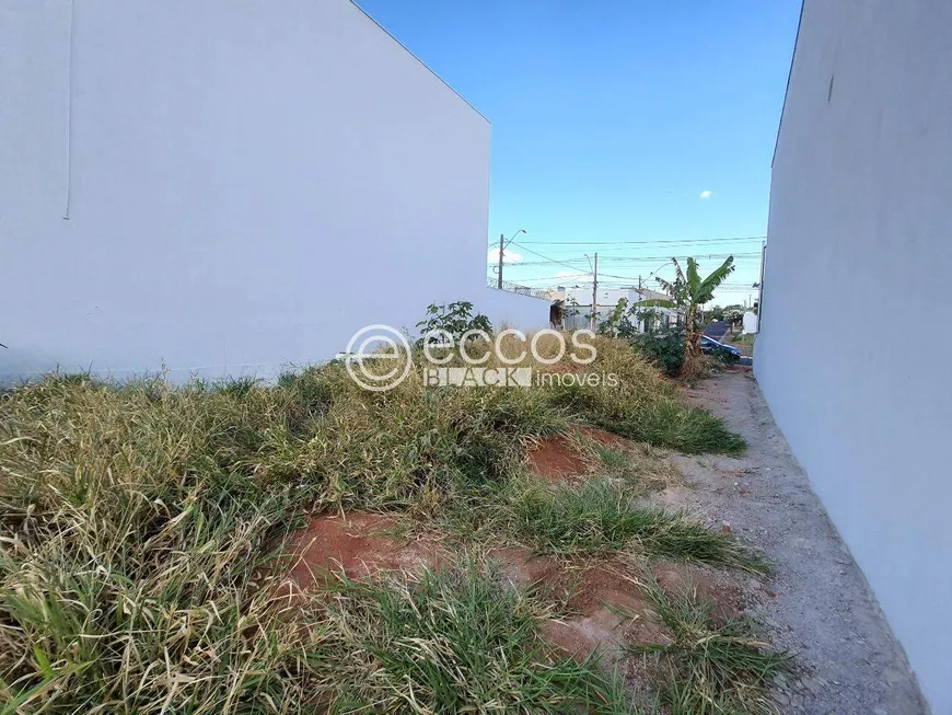 Foto 1 de à venda, 250m² em Bosque dos Buritis, Uberlândia