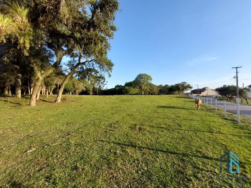 Foto 1 de Lote/Terreno à venda, 31420m² em Campina do Taquaral, São José dos Pinhais