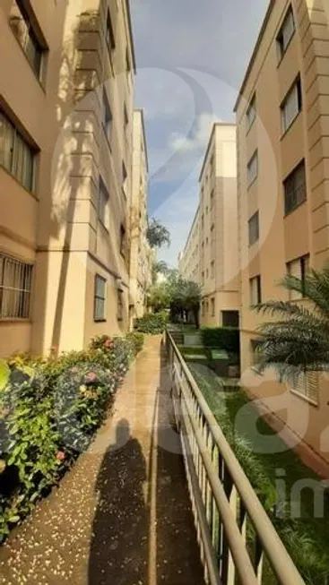 Foto 1 de Apartamento com 3 Quartos à venda, 60m² em Jardim Márcia, Campinas