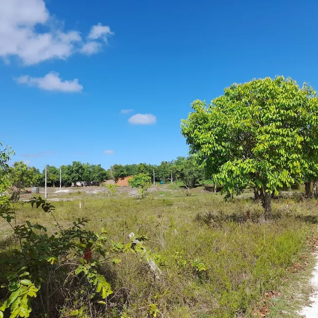 Foto 1 de Lote/Terreno à venda, 240m² em Nova Cruz, Igarassu