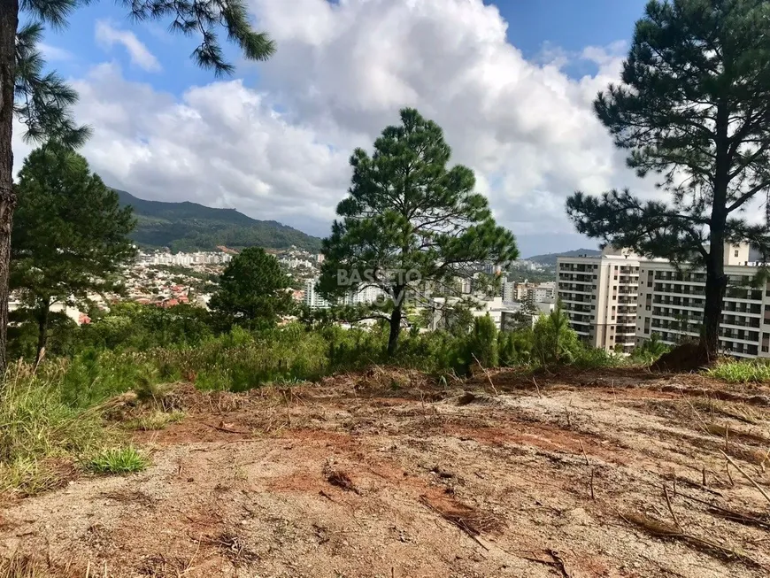 Foto 1 de Lote/Terreno à venda, 450m² em Itacorubi, Florianópolis