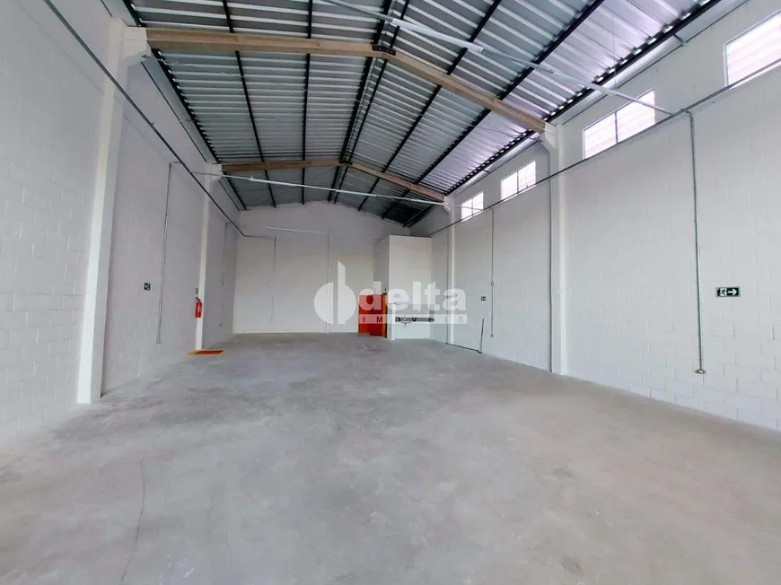 Foto 1 de Galpão/Depósito/Armazém à venda, 230m² em Pampulha, Uberlândia