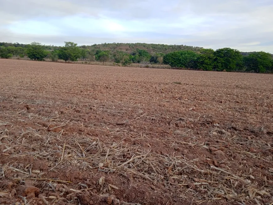 Foto 1 de Fazenda/Sítio com 2 Quartos à venda, 115m² em Setor Central, Santa Maria do Tocantins