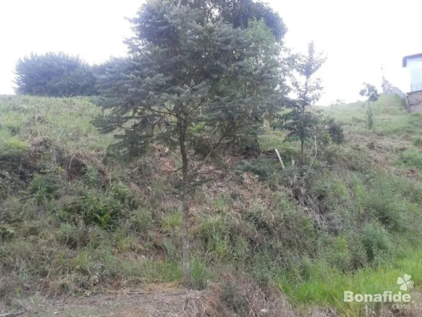 Foto 1 de Lote/Terreno à venda, 1102m² em Serra dos Lagos Jordanesia, Cajamar