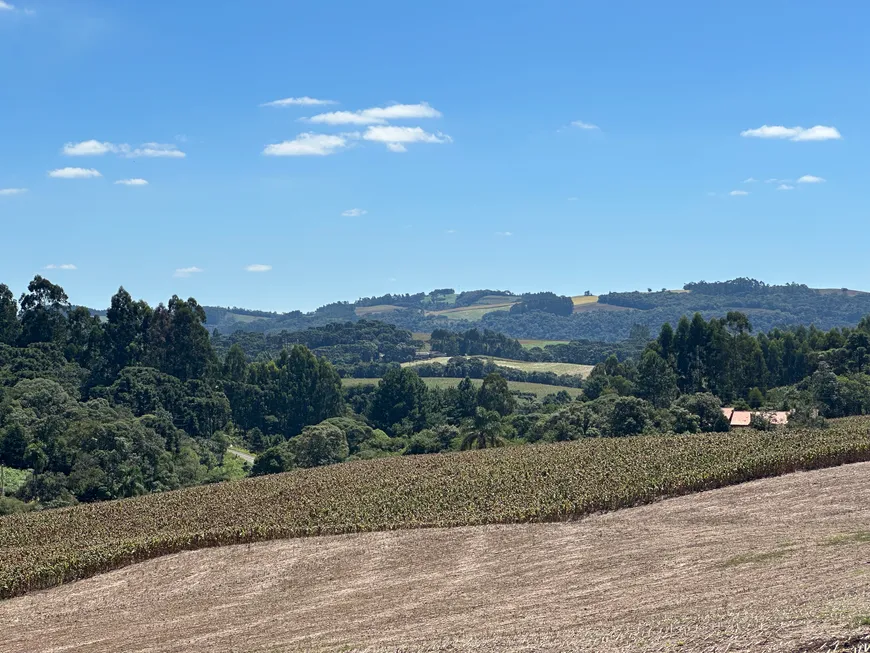 Foto 1 de Fazenda/Sítio à venda, 160000m² em Zona Rural, Campo Alegre