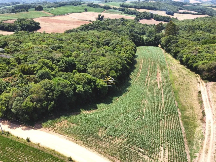 Foto 1 de Fazenda/Sítio com 1 Quarto à venda, 5000m² em Colônia Balbino Cunha, Campo Largo