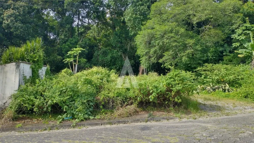 Foto 1 de Lote/Terreno à venda em Santo Antônio, Joinville