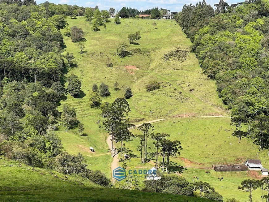 Foto 1 de Fazenda/Sítio com 1 Quarto à venda, 100m² em Santa Corona, Caxias do Sul