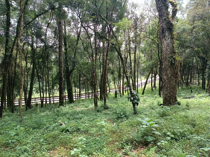 Foto 1 de Lote/Terreno à venda, 15000m² em Salto, Campo Alegre